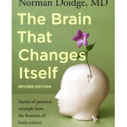 The Brain That Changes Itself Cover